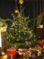 The Christmas tree
