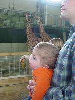 Max looking at the giraffes
