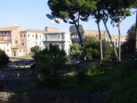 The Colloseum
