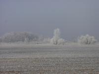 The frosty landscape