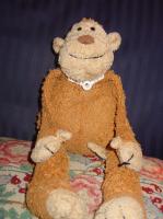 Monkey and his trachy