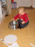 Luca playing with the dogs' water bowl