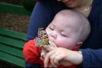 Butterfly up close and personal