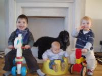 The boys on their trikes